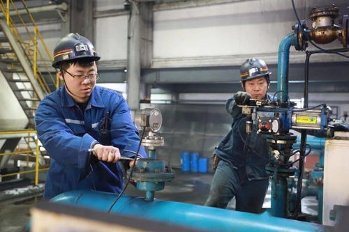 郭屯煤礦多措并舉提升煤質含金量，選煤設備助力增效